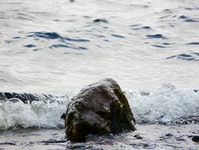 monstre Loch Ness