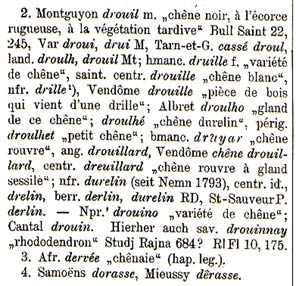 droulhe "chêne" en gallo-roman