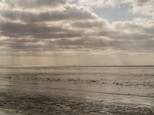 Waddenzee