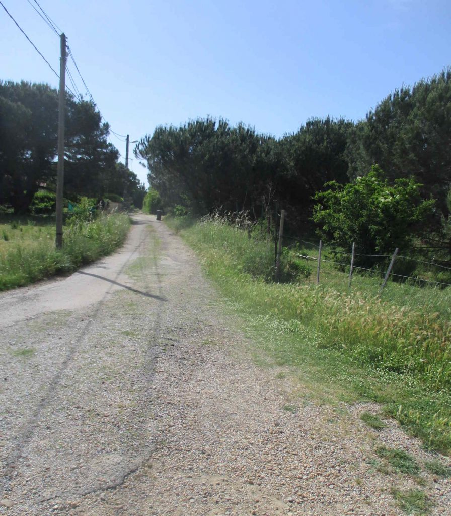 Chemin de Couladou