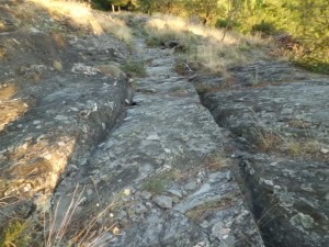 -Coudoulous ornières,_Lozère