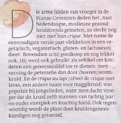 article en néerlandais